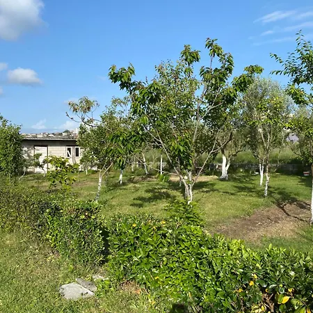 Rubin-cosy With A Garden & Patio Vila *