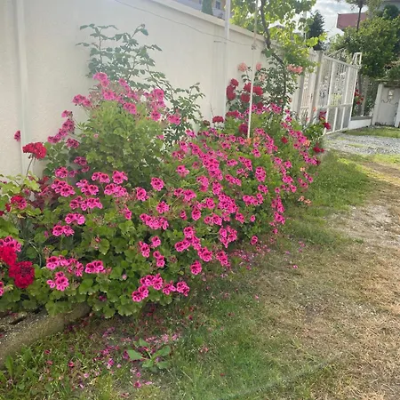 Vila Rubin-cosy With A Garden & Patio Durrës