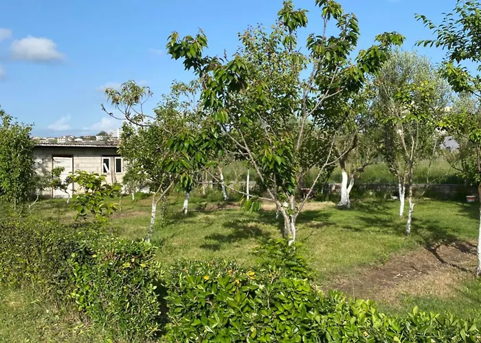 Rubin-cosy With A Garden & Patio Villa *