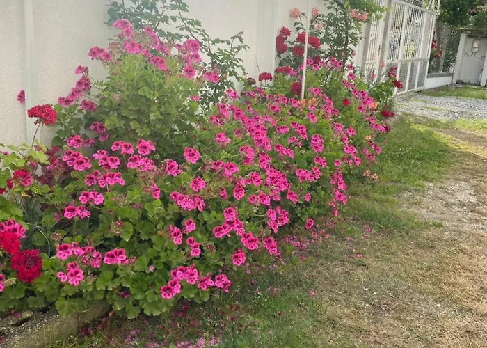 Villa Rubin-cosy With A Garden & Patio Durrës